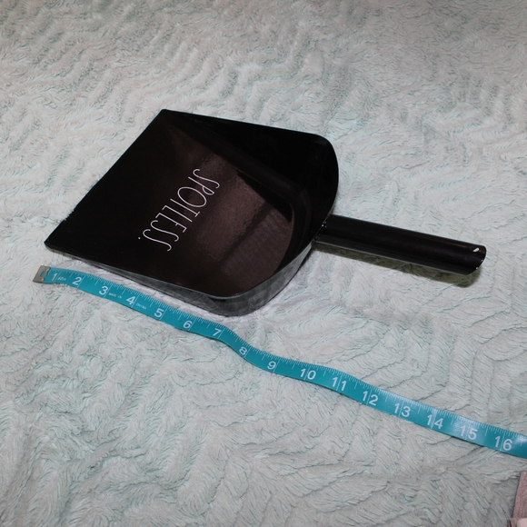 SPOTLESS Rae Dunn Dust Pan - Picture 6 of 6